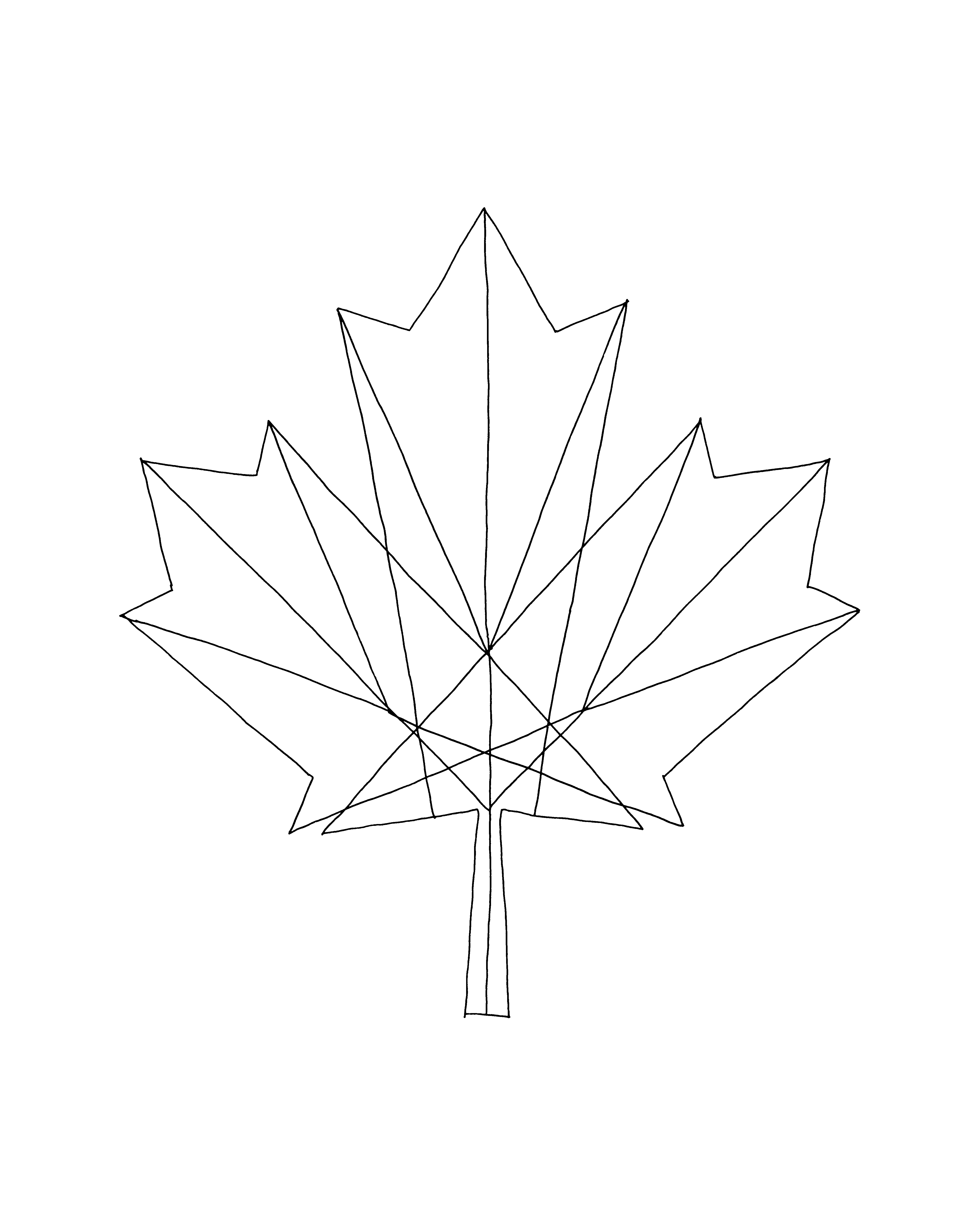 4800x6000 pages canadian maple leaf colouring - Canadian Leaf Drawing