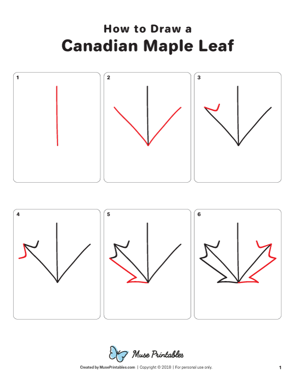600x776 How To Draw - Canadian Leaf Drawing