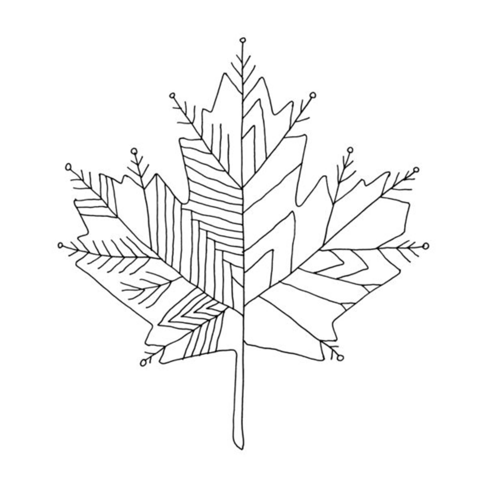 1920x1920 canadian maple leaf colouring - Canadian Leaf Drawing