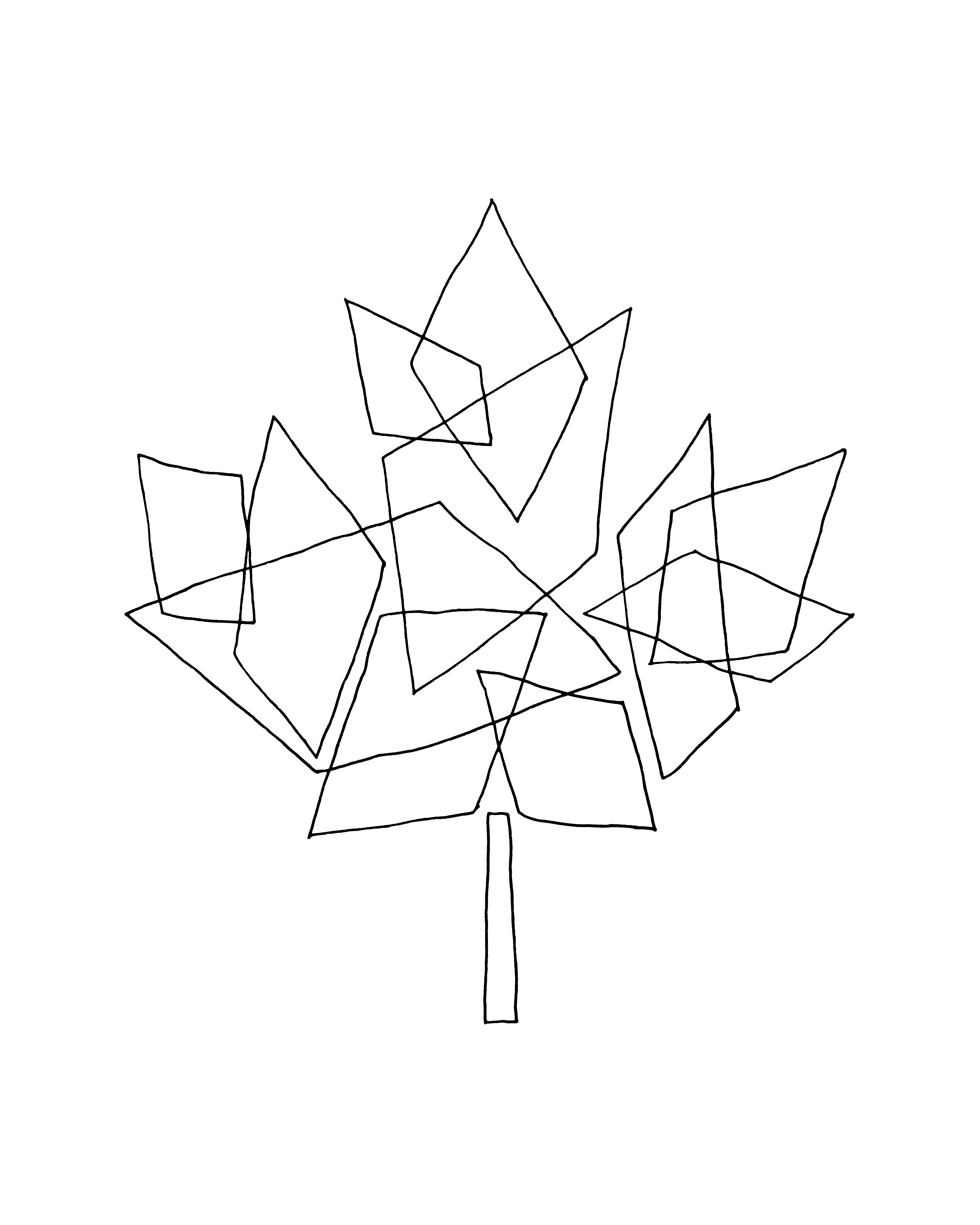 4800x6000 pages canadian maple leaf colouring - Canadian Leaf Drawing