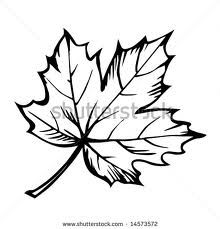 220x229 Best Leaf Images Tattoo Ideas, Drawings, Minimalist Tattoos - Canadian Leaf Drawing