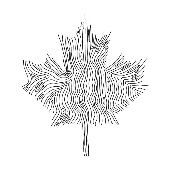 600x600 best maple leaf drawing ideas fall leaves drawing, leaf - Canadian Leaf Drawing