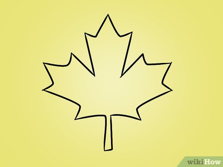460x345 how to draw a maple leaf steps - Canadian Maple Leaf Drawing