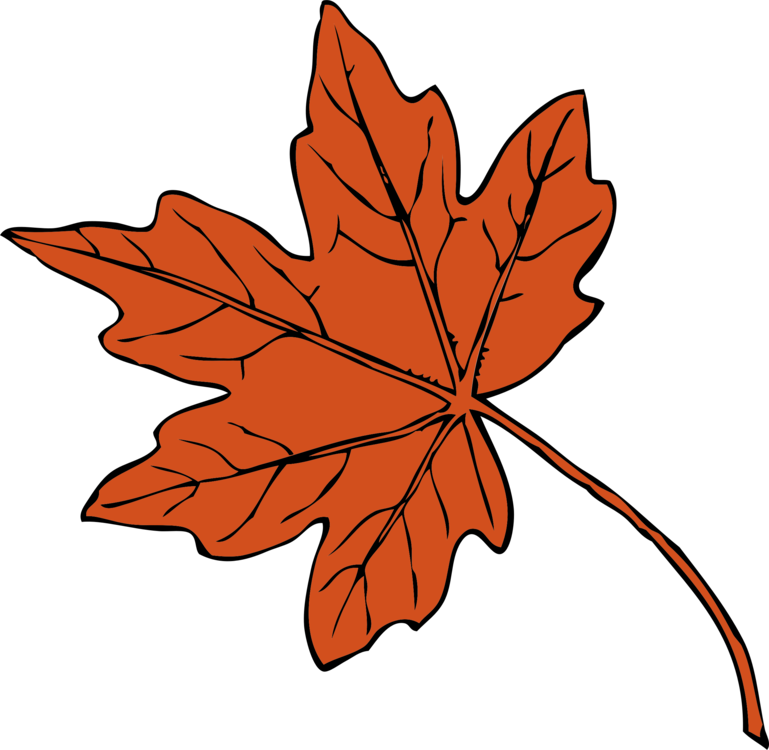 769x750 maple canada logo transparent png clipart free download - Canadian Maple Leaf Drawing