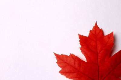 400x266 crs point requirement drops in express entry draw - Canadian Maple Leaf Drawing