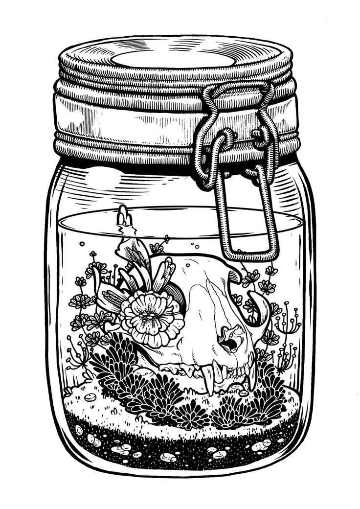Canning Jar Drawing at PaintingValley.com | Explore collection of