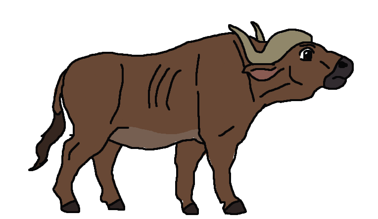 764x444 cape buffalo character drawing - Cape Buffalo Drawing