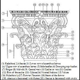 270x270 details of original corinthian capital - Capital Drawing