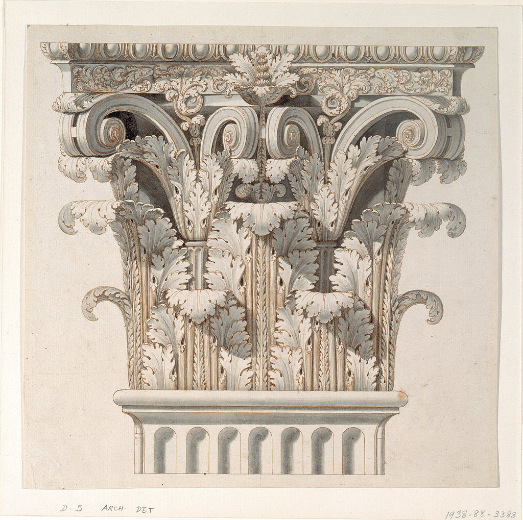 1024x1019 drawing, corinthian capital objects collection of cooper - Capital Drawing