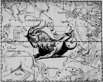 350x279 capricorn symbol - Capricorn Drawings
