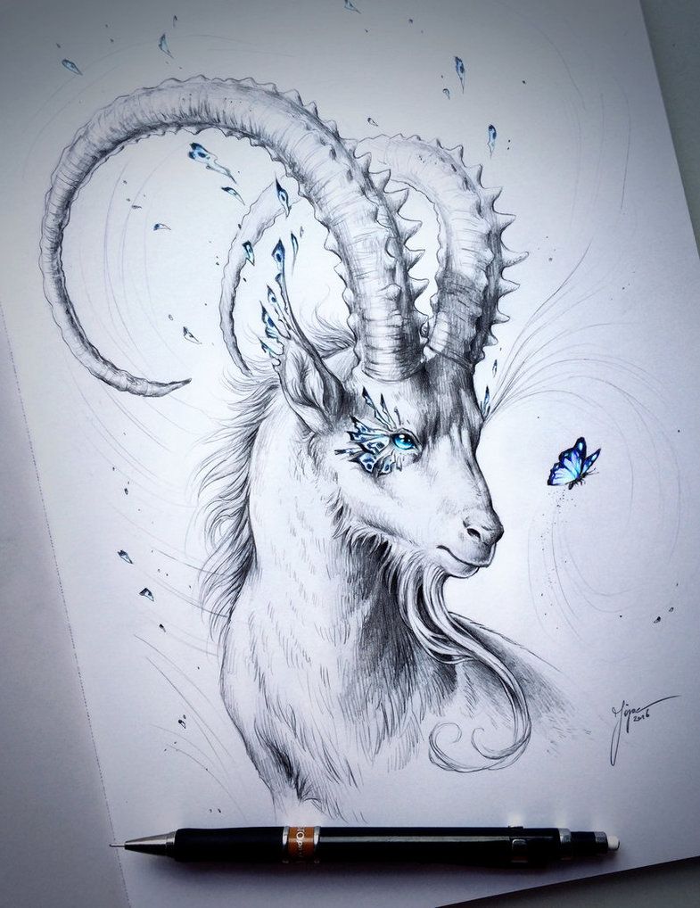 785x1018 capricorn - Capricorn Drawings