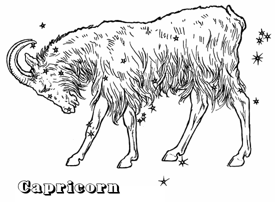 550x405 capricorn - Capricorn Drawings