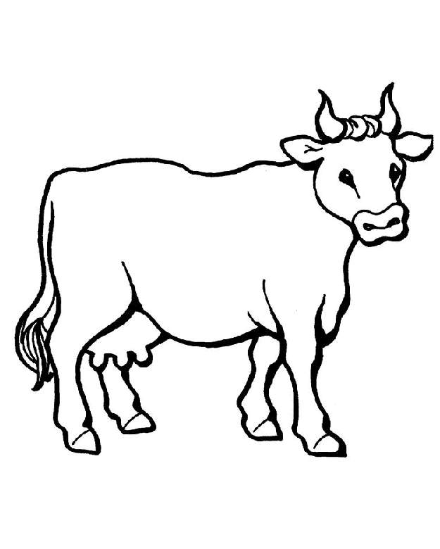 625x780 Ox Drawing Carabao For Free Download - Carabao Drawing