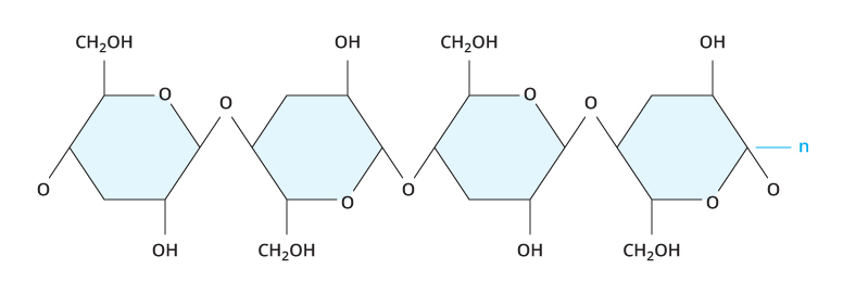 776x272 carbohydrates biology visionlearning - Carbohydrates Drawing