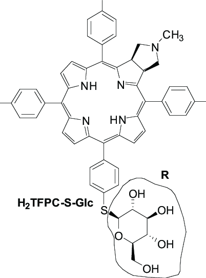 402x541 carbohydrates as cancer directing anchors in drug delivery - Carbohydrates Drawing