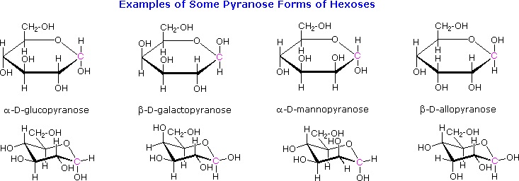 733x256 cyclic forms of monosaccharides - Carbohydrates Drawing