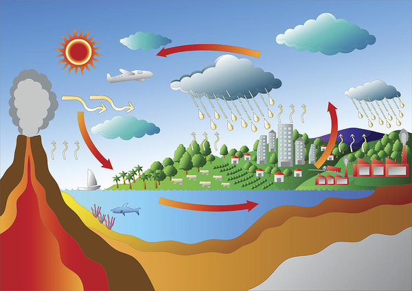 600x424 carbon cycle and sulfur cycle diagram vector art print - Carbon Cycle Drawing