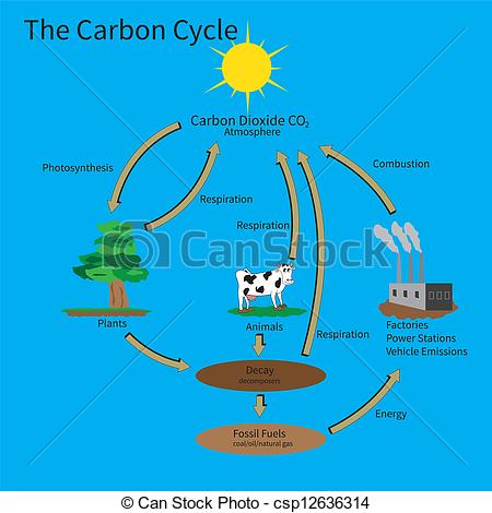 450x470 Carbon Cycle Clipart - Carbon Cycle Drawing