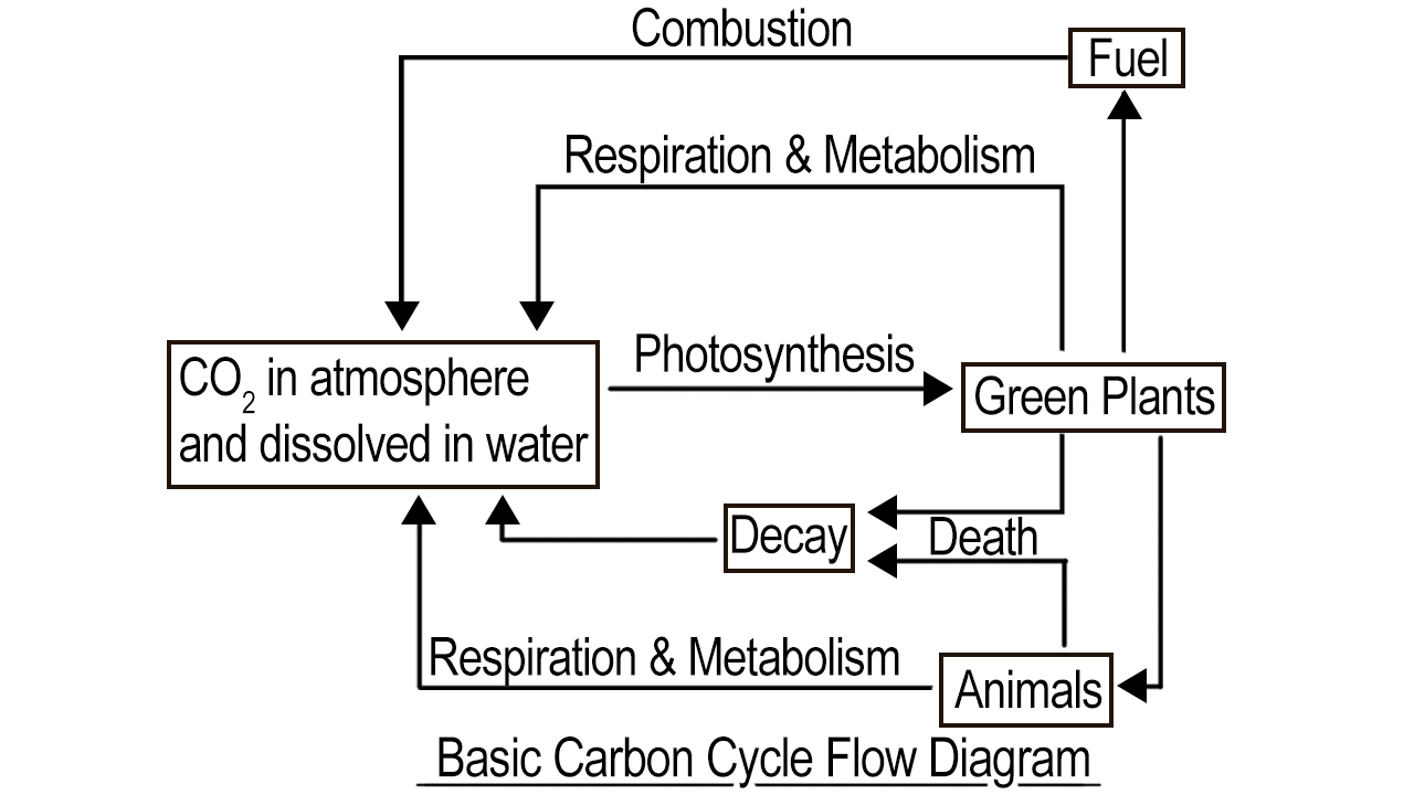 1280x720 Carbon Cycle Diagram - Carbon Cycle Drawing