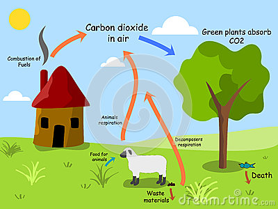 400x300 Carbon Cycle Clip Art - Carbon Cycle Drawing