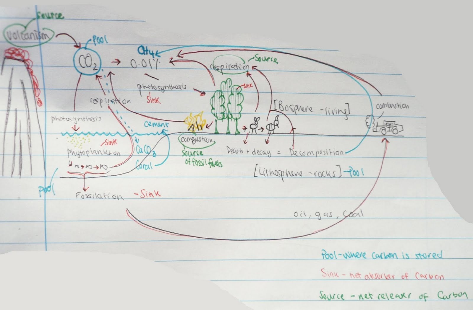 Carbon Cycle Drawing at PaintingValley.com | Explore collection of