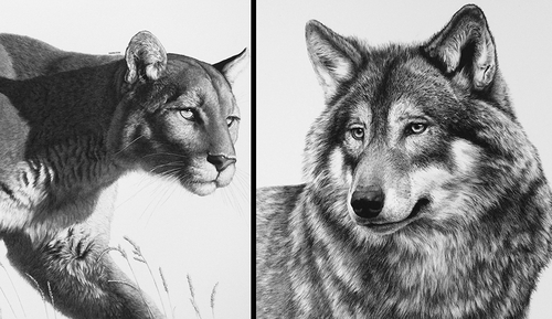 500x289 Design Stack A Blog About Art, Design And Architecture Majestic - Carbon Drawing