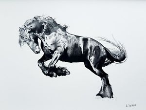 300x226 Original Handmade Art Graphite Carbon Pencil Drawing Horse - Carbon Drawing
