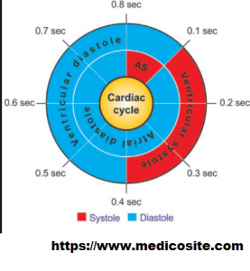277x300 cardiac cycle,phases of cardiac cycle,cardiac cycle ecg - Cardiac Cycle Drawing
