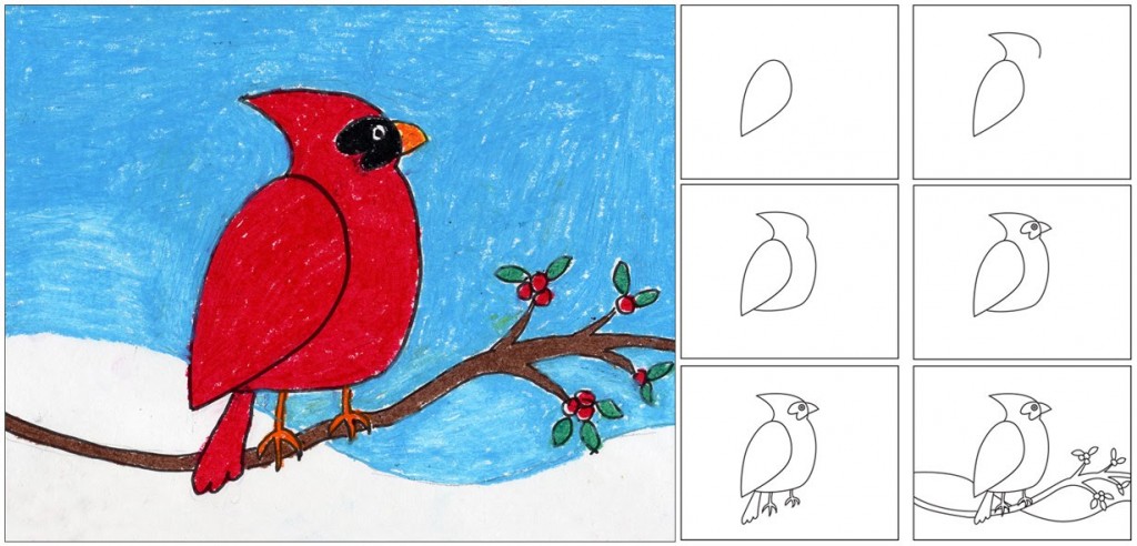 Cardinal Drawing At Paintingvalley Com Explore Collection Of