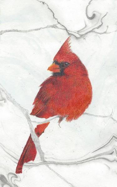375x598 cardinal drawing drawings for sale saatchi art - Cardinal Drawing