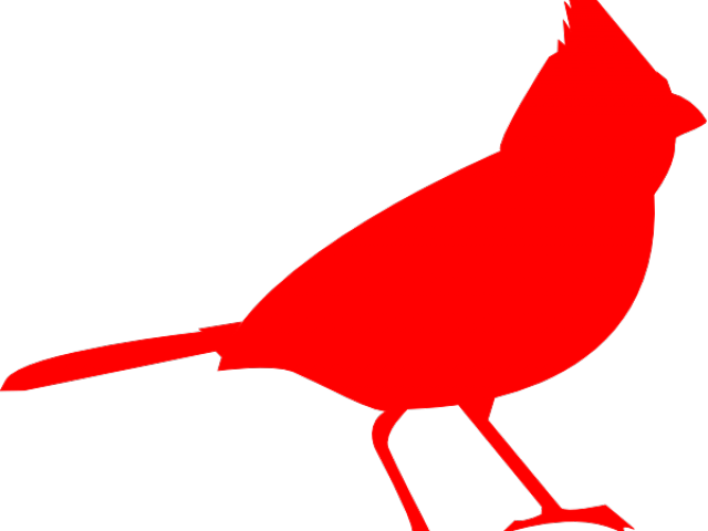 640x480 Cardinal Clipart Line Drawing - Cardinal Line Drawing