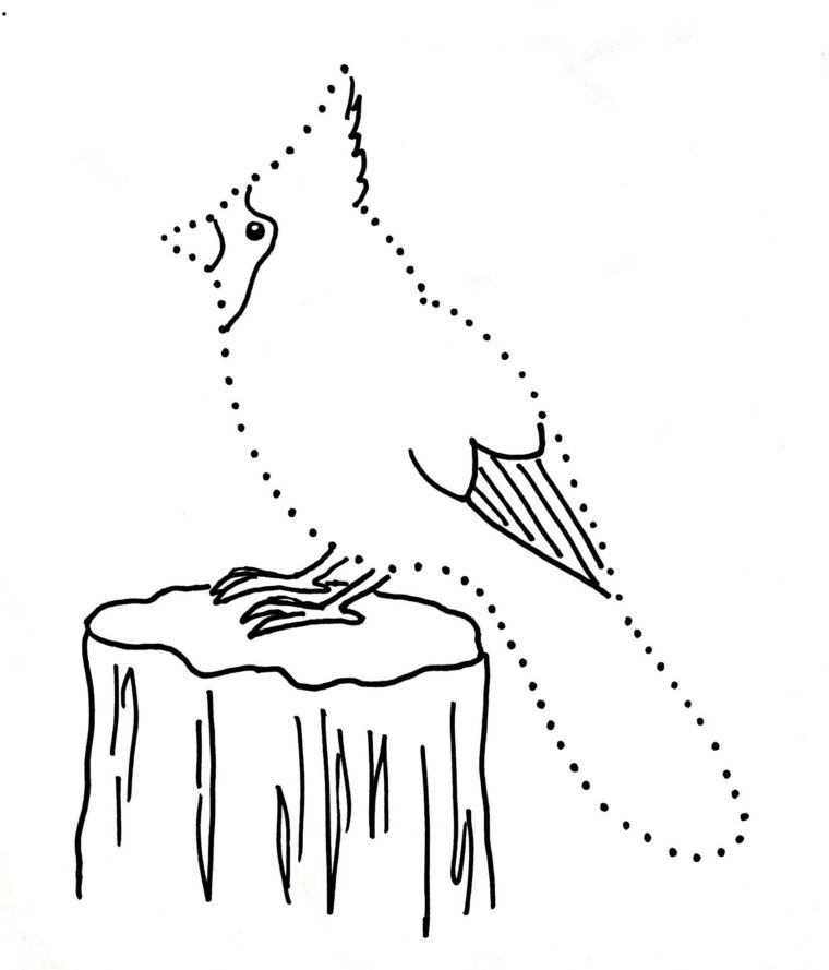 760x889 Cardinal Dot Drawing - Cardinal Line Drawing