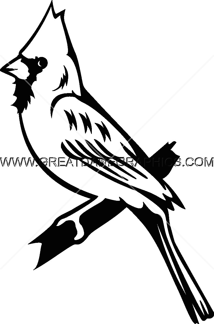 825x1246 Cardinal Line Drawing At Getdrawings Com Free For Personal Use - Cardinal Line Drawing