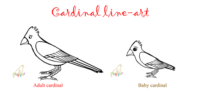 690x350 Free Cardinal Line Art - Cardinal Line Drawing