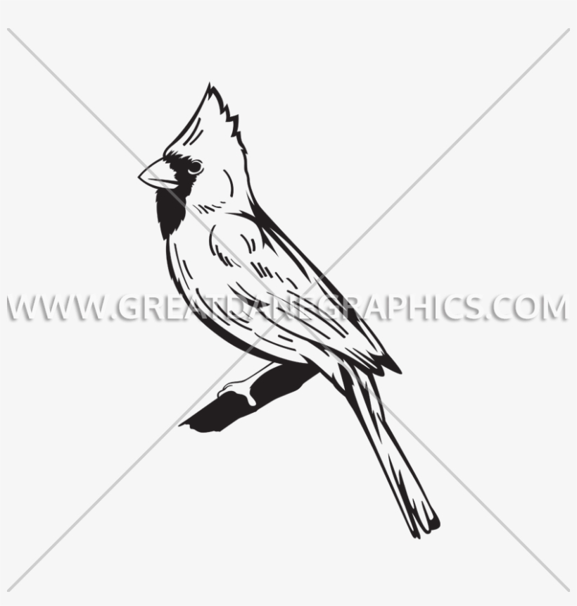 820x860 Graphic Black And White Library Cardinal Line Drawing - Cardinal Line Drawing