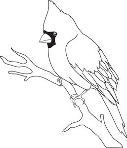 257x300 Bird Line Drawing Transparent Png Clipart Free Download - Cardinal Line Drawing