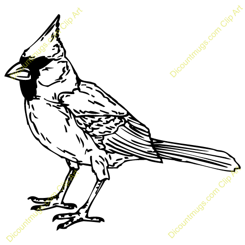 500x500 Black And White Cardinal Clipart Collection - Cardinal Line Drawing
