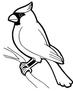 236x295 Cardinal Bird Drawing Diy Bird Drawings, Drawings, Bird Crafts - Cardinal Line Drawing
