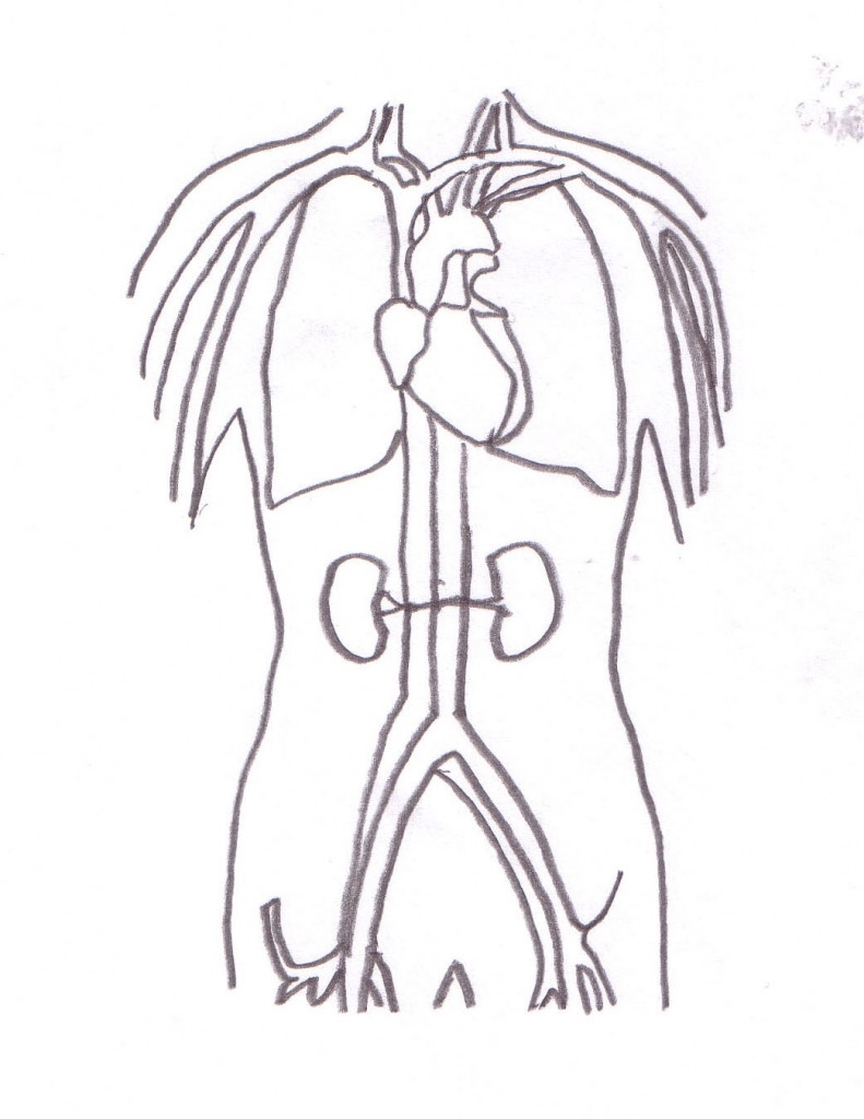 791x1024 Up In This Bitch M A L E K K O - Cardiovascular System Drawing