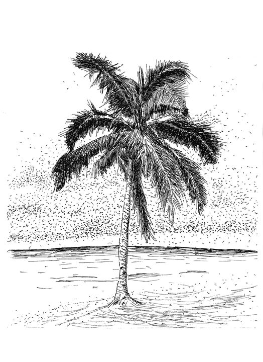 524x720 tropical caribbean palm tree - Caribbean Drawings