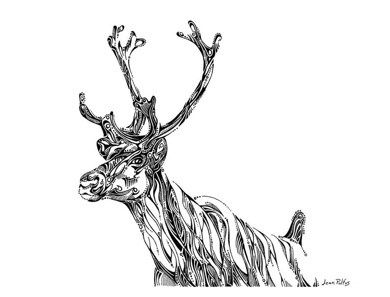 794x604 Caribou Drawing Natural History Illustration Woodland Etsy - Caribou Drawing