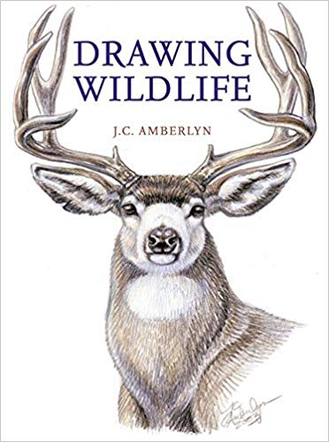 372x499 Drawing Wildlife J C Amberlyn Books - Caribou Drawing