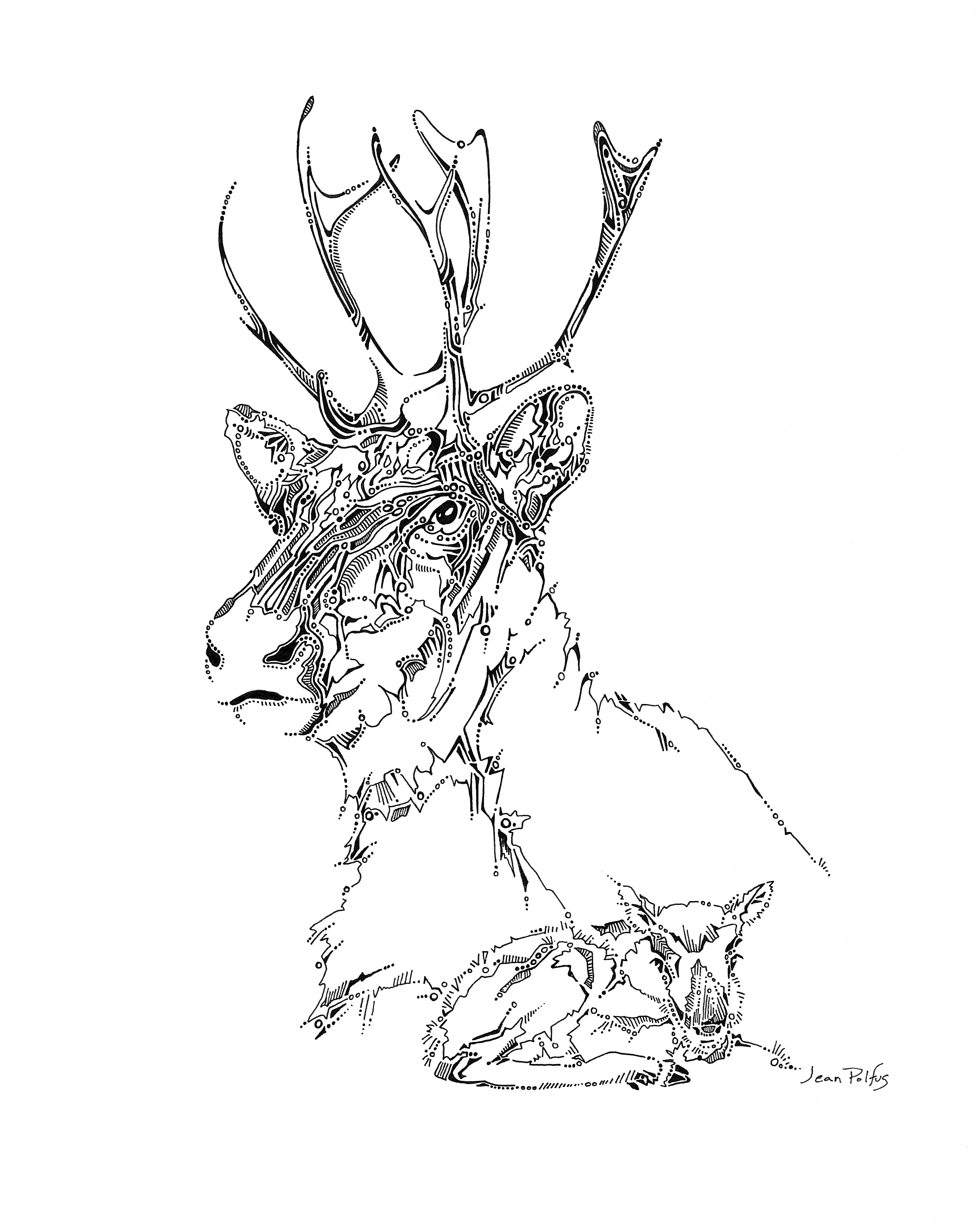 How To Draw Caribou Step By Step