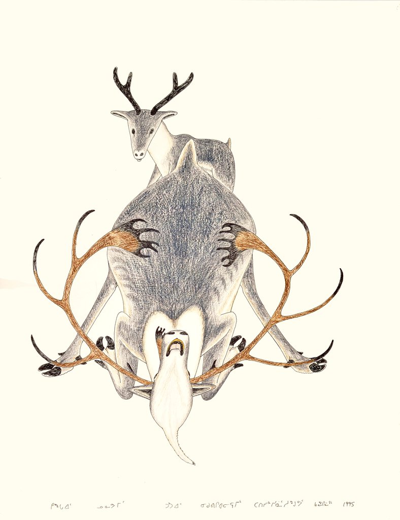 788x1024 Kneeling Caribou Drawing Northern Expressions - Caribou Drawing