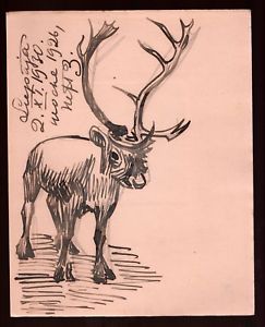 243x300 Russian Art Sermoskin Ink On Paper Original Drawing Reindeer - Caribou Drawing