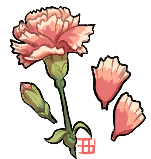 482x509 collection of free carnation drawing download on ui ex - Carnation Drawing