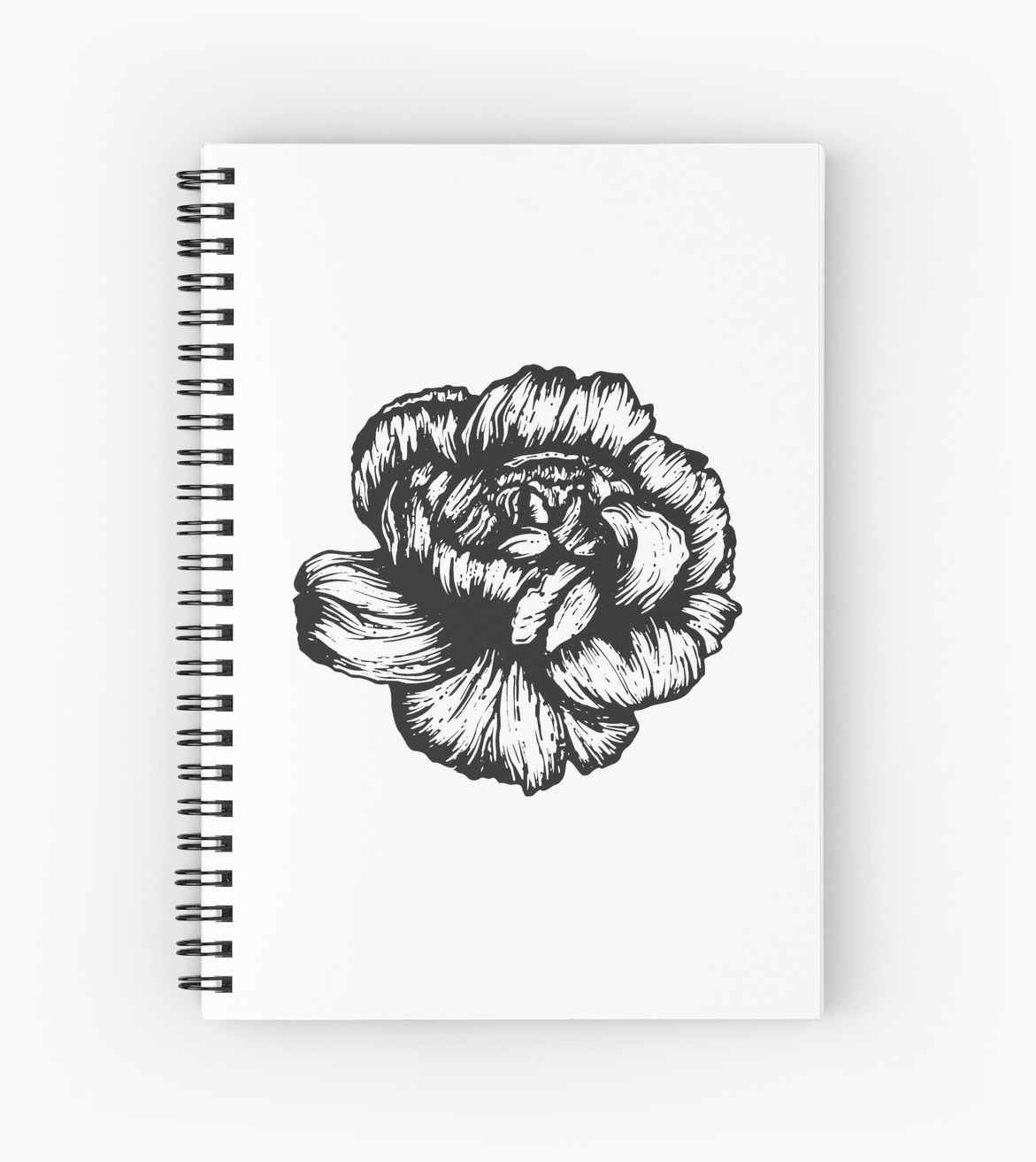 1171x1313 carnation january birth flower - Carnation Drawing