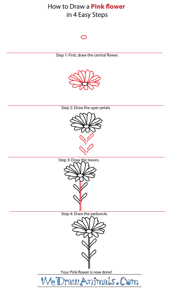 600x1000 How To Draw A Pink Flower - Carnation Drawing Step By Step