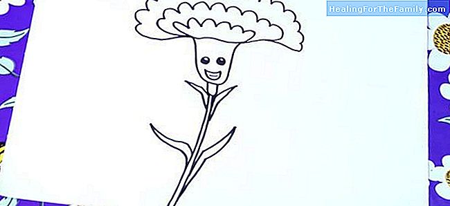 650x298 How To Do, Step - Carnation Drawing Step By Step