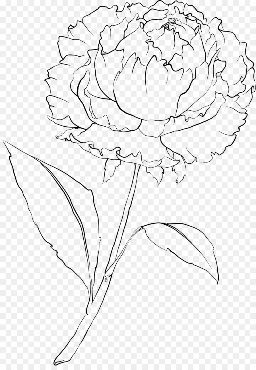 900x1300 huge collection of 'carnation line drawing' download more than - Carnation Drawing Step By Step